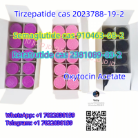 cas 910463-68-2 Semaglutide Tirzepatide cas 2023788-19-2 Selank Epithalon SS-31