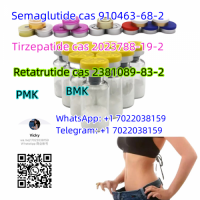Slimming peptides Semaglutide cas 910463-68-2 AOD9604 PT-141 BPC 157